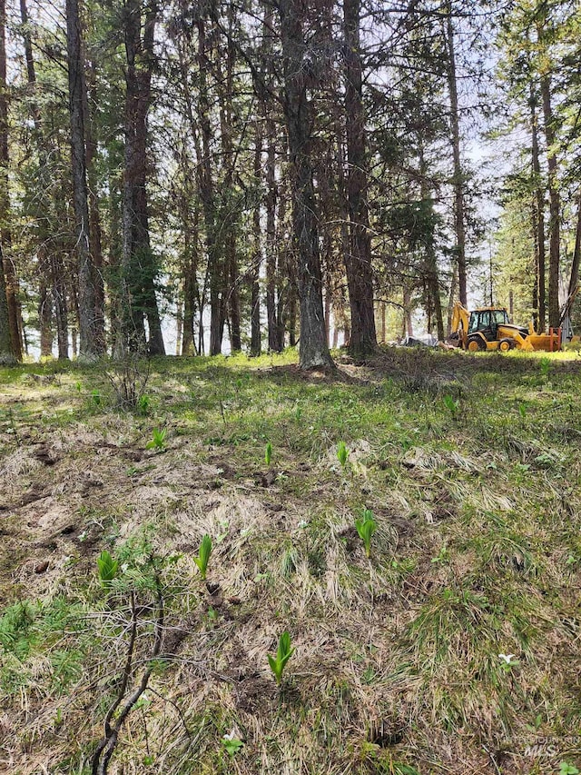 TBA Buckcamp Ln, Mccall, ID 83638