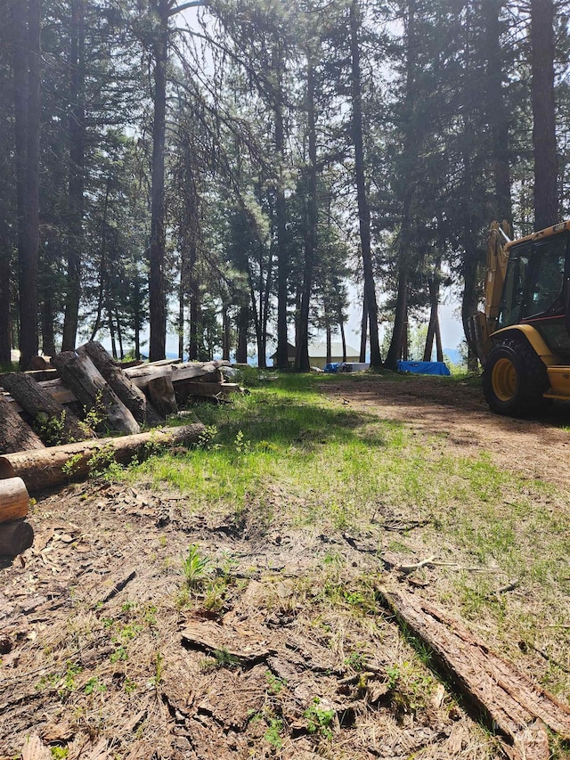 TBA Buckcamp Ln, Mccall, ID 83638