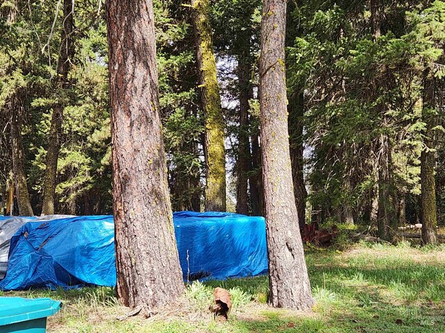 TBA Buckcamp Ln, Mccall, ID 83638