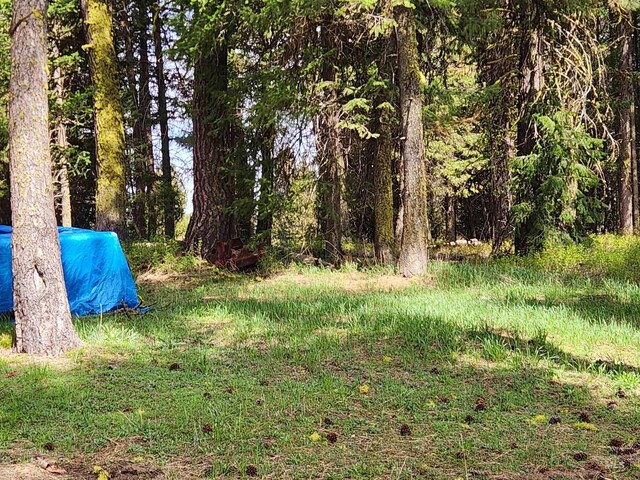 TBA Buckcamp Ln, Mccall, ID 83638