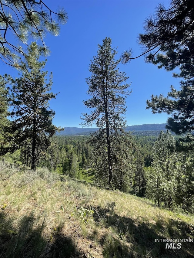 TBA Buckcamp Ln, Mccall, ID 83638