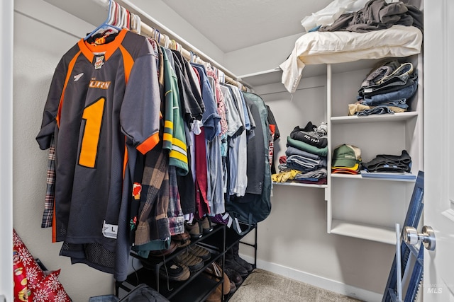 walk in closet with carpet floors