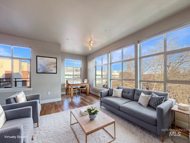 living room featuring baseboards and wood finished floors