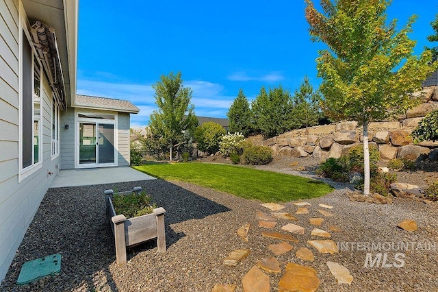 view of yard with a patio area