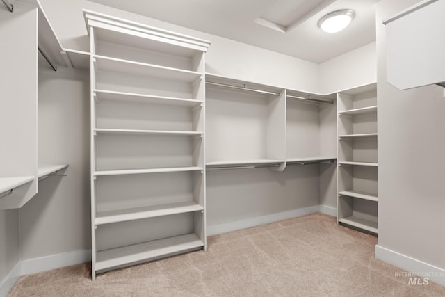 spacious closet with carpet floors