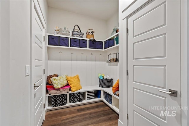 mudroom with dark hardwood / wood-style flooring