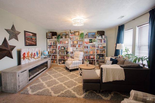 living area featuring carpet flooring and a textured ceiling