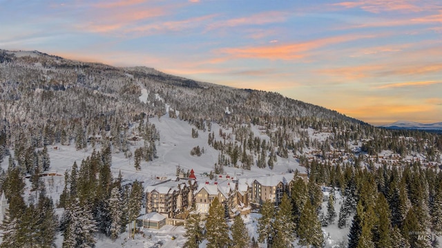 snowy aerial view featuring a mountain view