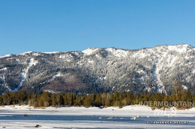 property view of mountains