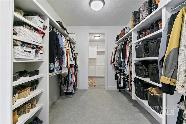 walk in closet featuring carpet floors