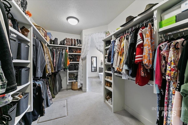 walk in closet featuring carpet floors