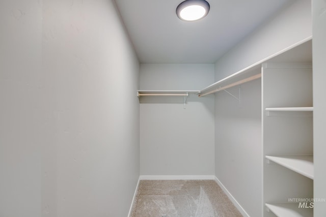 spacious closet with carpet floors