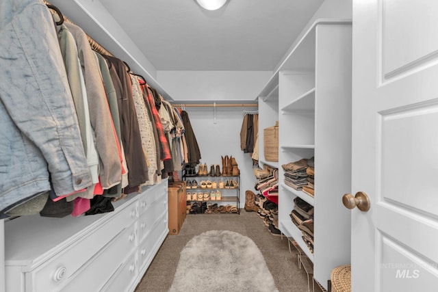 12041 W Ardyce, Boise, ID 83713 - spacious closet with carpet