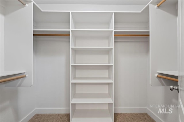 6311 S Solar Way, Boise, ID 83709 - walk in closet featuring carpet floors