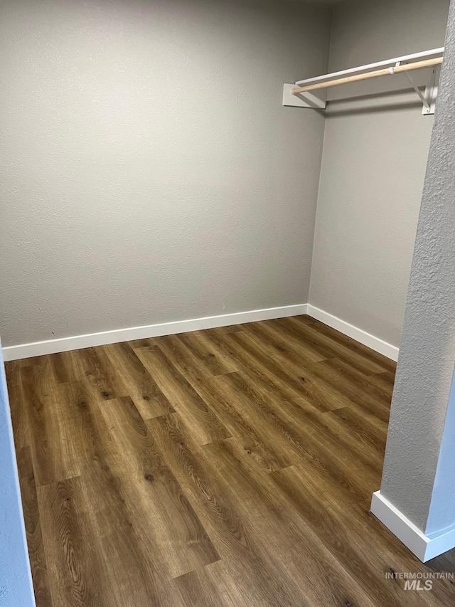 spacious closet featuring wood finished floors