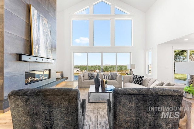 1458 W Sandy Ct, Meridian, ID 83646 - living area with high vaulted ceiling, wood finished floors, and a fireplace
