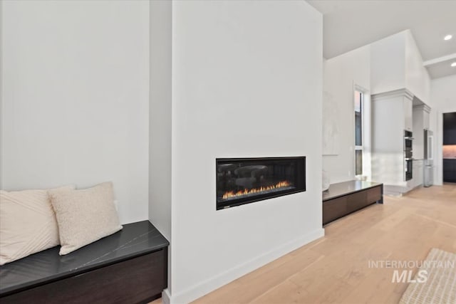 living room featuring light hardwood / wood-style floors