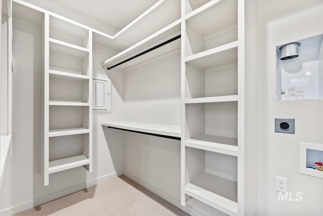 walk in closet with light carpet