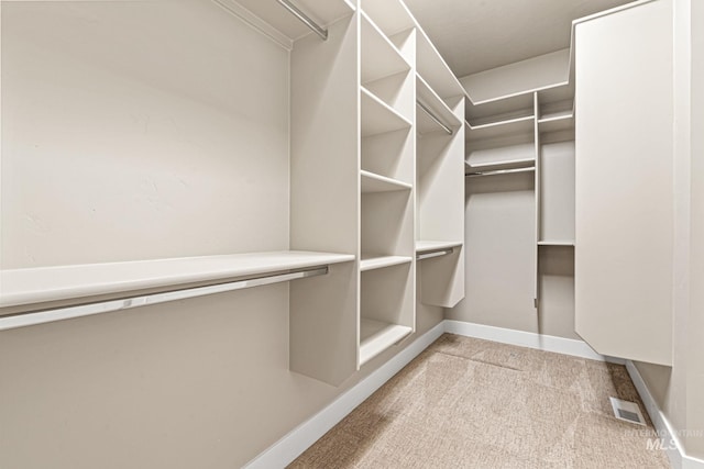 1073 W Smoky Quartz St, Kuna, ID 83634 - walk in closet featuring carpet flooring
