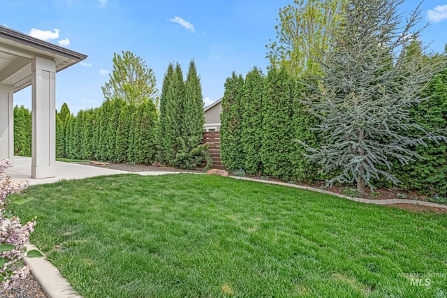 1073 W Smoky Quartz St, Kuna, ID 83634 - view of green lawn