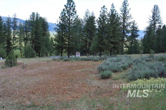 LOT8 Camas Dr, New Meadows, ID 83654