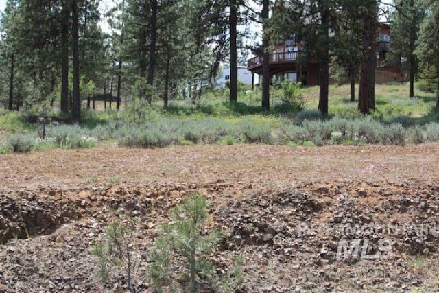 LOT8 Camas Dr, New Meadows, ID 83654