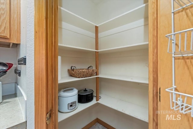 view of pantry