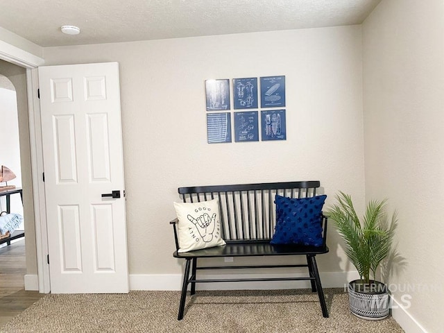 1101 Clithero Dr, Boise, ID 83703 - living area with arched walkways, carpet flooring, and baseboards