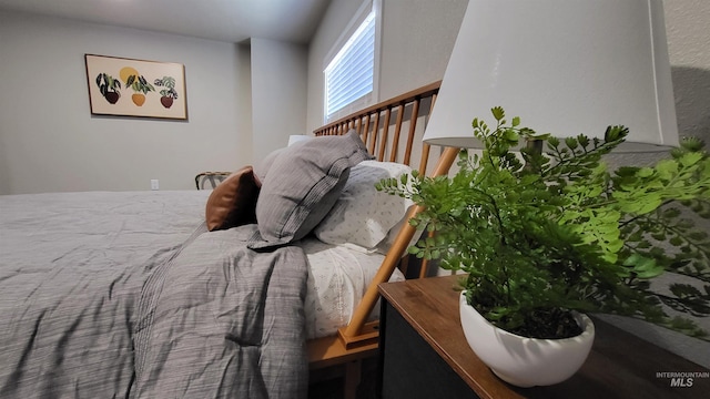 1101 Clithero Dr, Boise, ID 83703 - view of bedroom