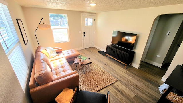 1101 Clithero Dr, Boise, ID 83703 - living room featuring a textured ceiling, wood finished floors, baseboards, and arched walkways