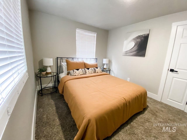1101 Clithero Dr, Boise, ID 83703 - bedroom with carpet flooring and baseboards