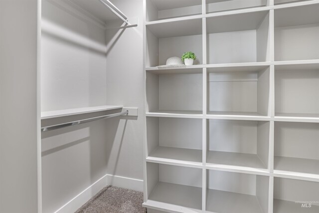 507 Jesse Ave, Twin Falls, ID 83301 - spacious closet with carpet flooring