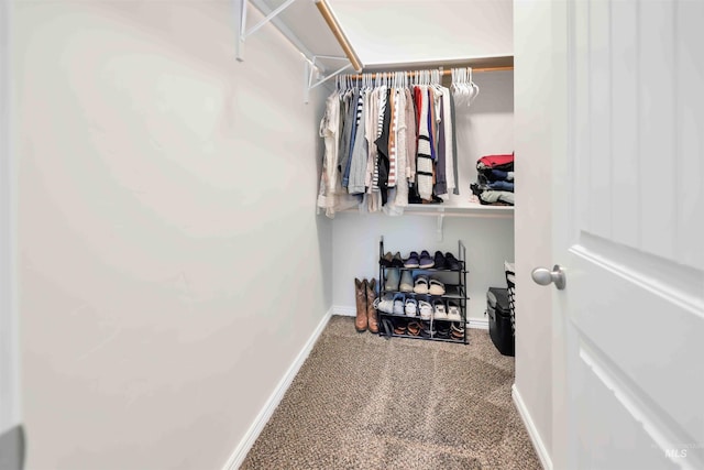 449 View Ave, Twin Falls, ID 83301 - walk in closet with carpet flooring