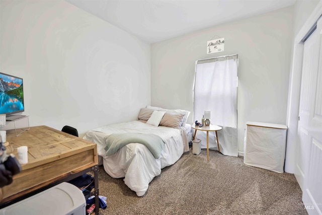 449 View Ave, Twin Falls, ID 83301 - bedroom with carpet
