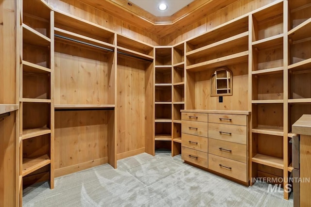 walk in closet with light carpet