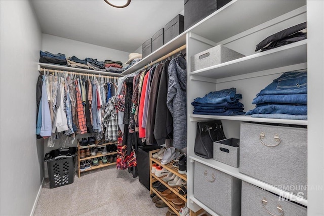 spacious closet featuring carpet floors