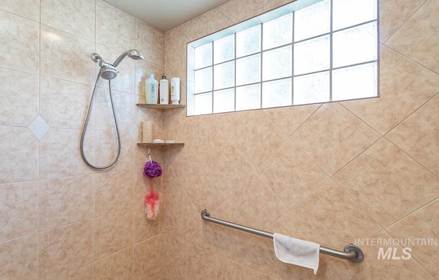 1719 E Horse Creek Ct, Meridian, ID 83642 - bathroom featuring tiled shower
