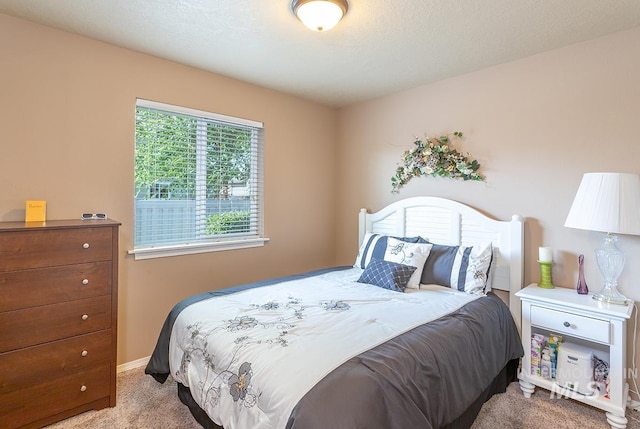 1719 E Horse Creek Ct, Meridian, ID 83642 - bedroom with carpet flooring