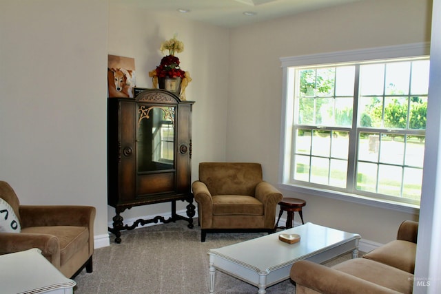 3703 E 3793 N, Kimberly, ID 83341 - living area featuring carpet and plenty of natural light
