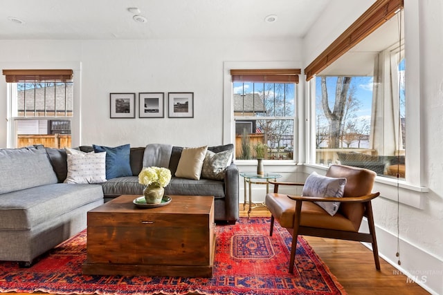 living room with a healthy amount of sunlight and wood-type flooring