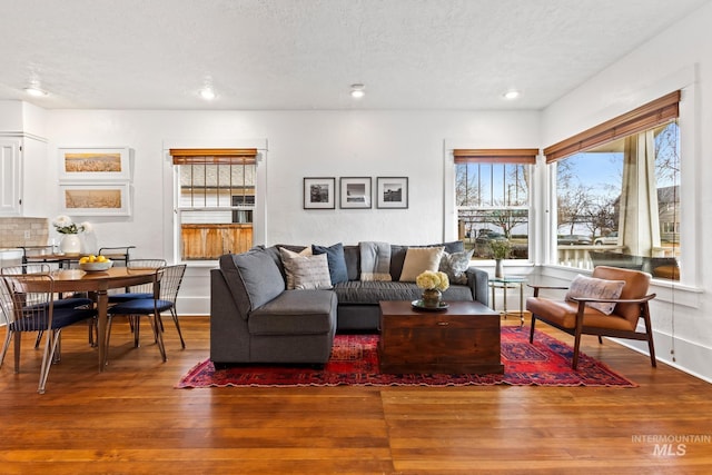 living room with hardwood / wood-style floors, a textured ceiling, and a wealth of natural light