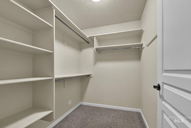 2870 N Cloverdale, Boise, ID 83713 - spacious closet with carpet flooring