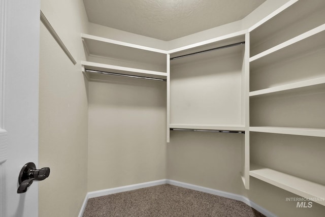 2870 N Cloverdale, Boise, ID 83713 - walk in closet featuring carpet