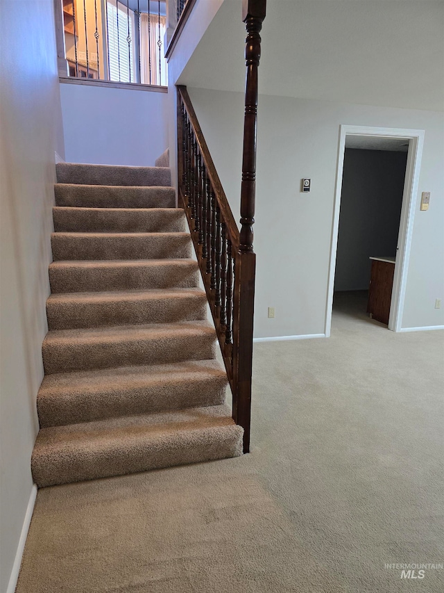 stairway featuring carpet floors