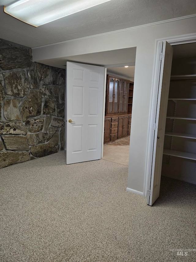 basement featuring carpet floors