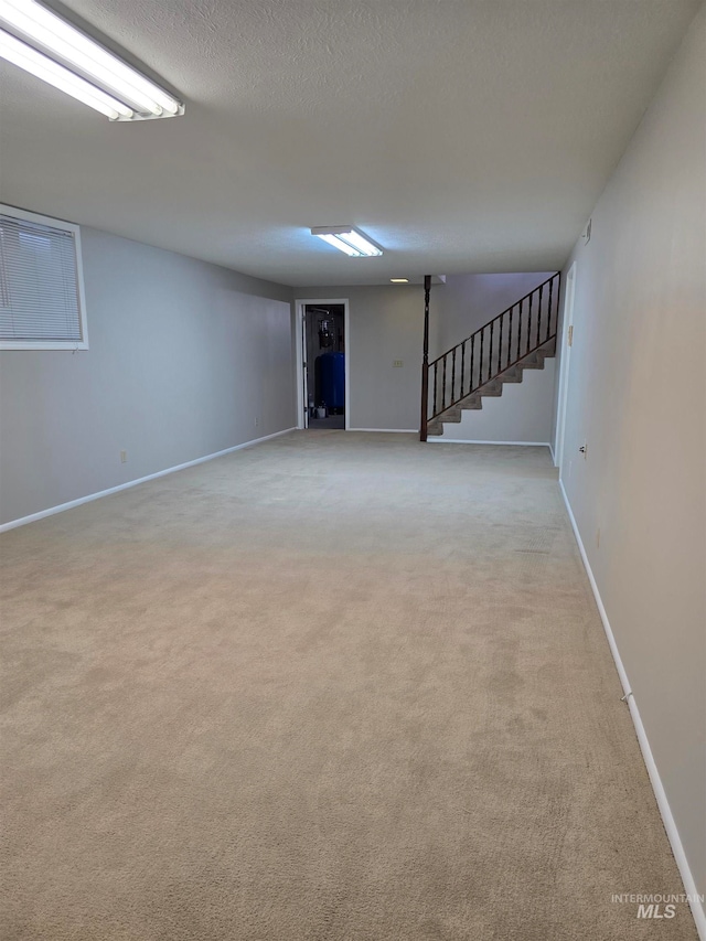 basement with light colored carpet