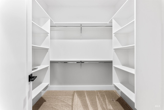 spacious closet featuring light carpet