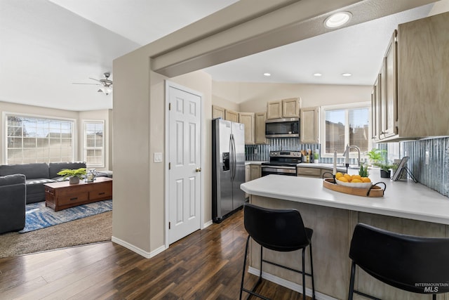 kitchen with dark wood finished floors, appliances with stainless steel finishes, open floor plan, a peninsula, and backsplash