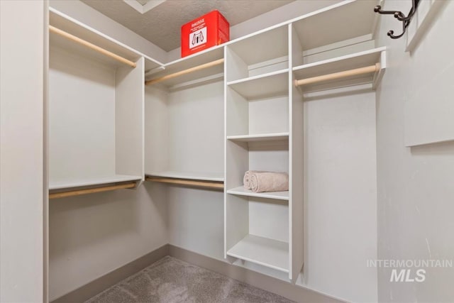 302 Broken Crk, Mccall, ID 83638 - walk in closet with carpet