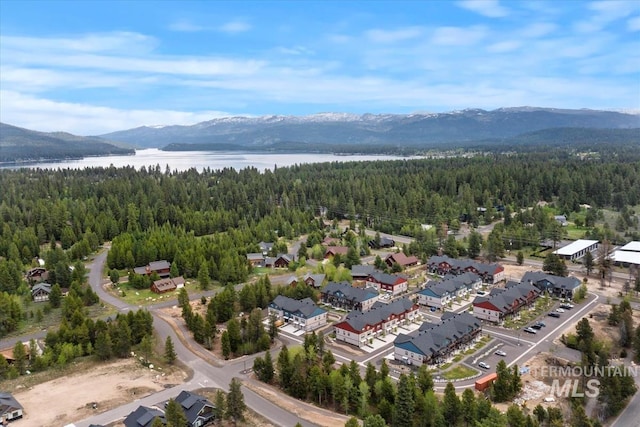 302 Broken Crk, Mccall, ID 83638 - bird's eye view of a forest and a water and mountain view